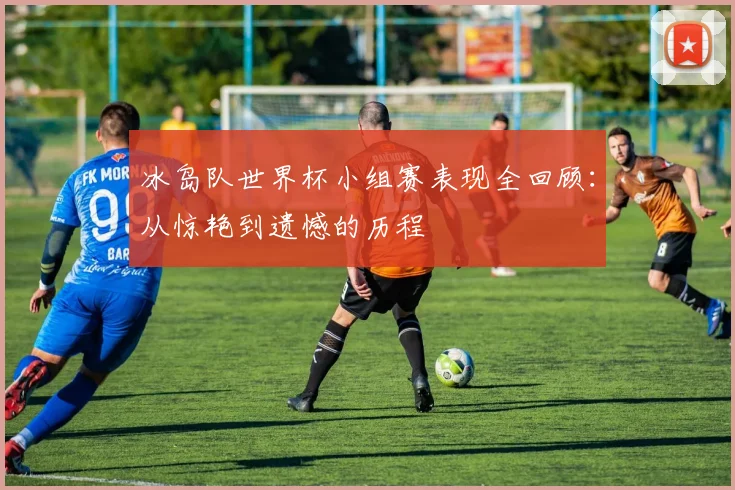 冰岛队世界杯小组赛表现全回顾：从惊艳到遗憾的历程